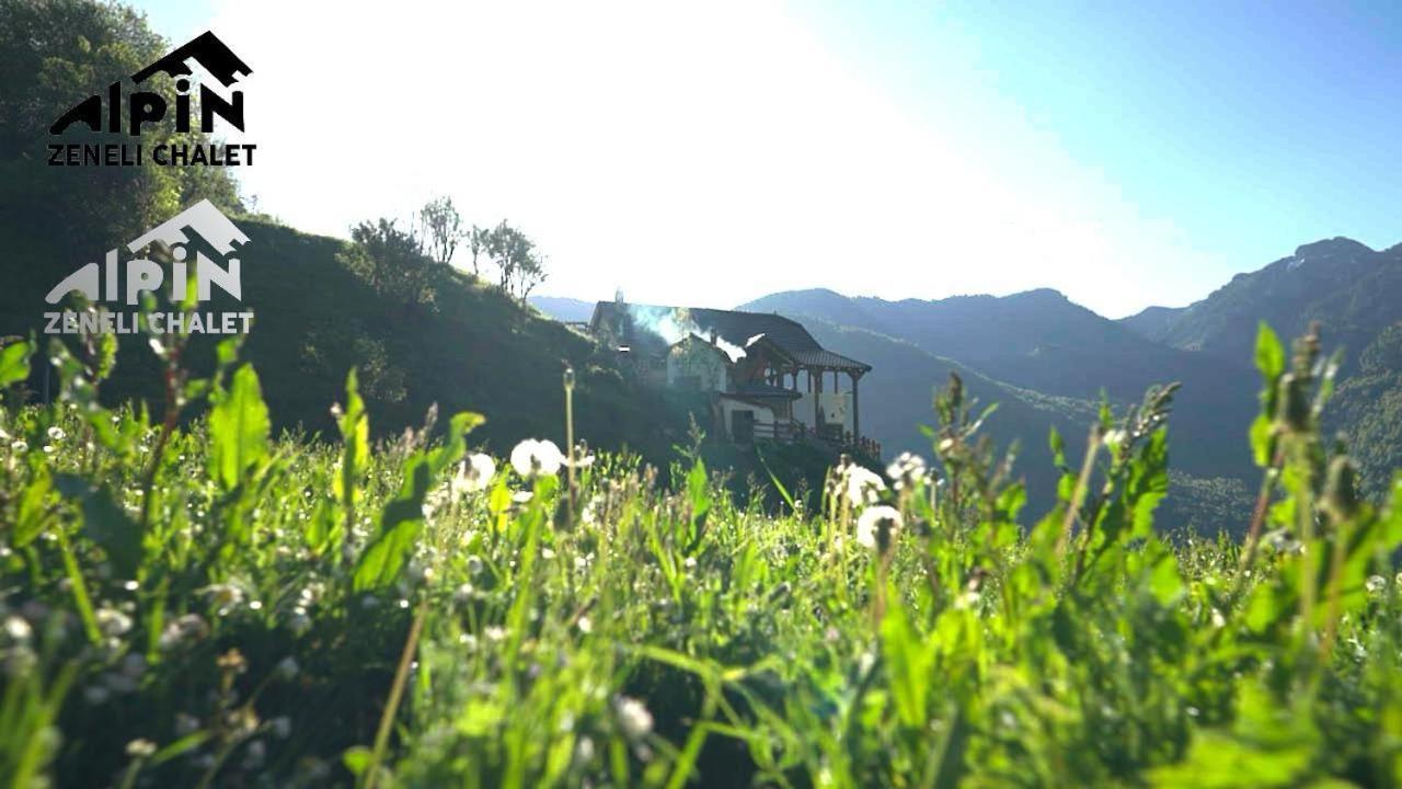 Cerem Zeneli Alpin Chalet מראה חיצוני תמונה
